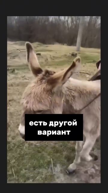 24 мая 2025 г.