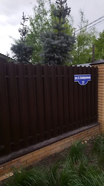 Двухцветная сирень - такую встретить к удаче!