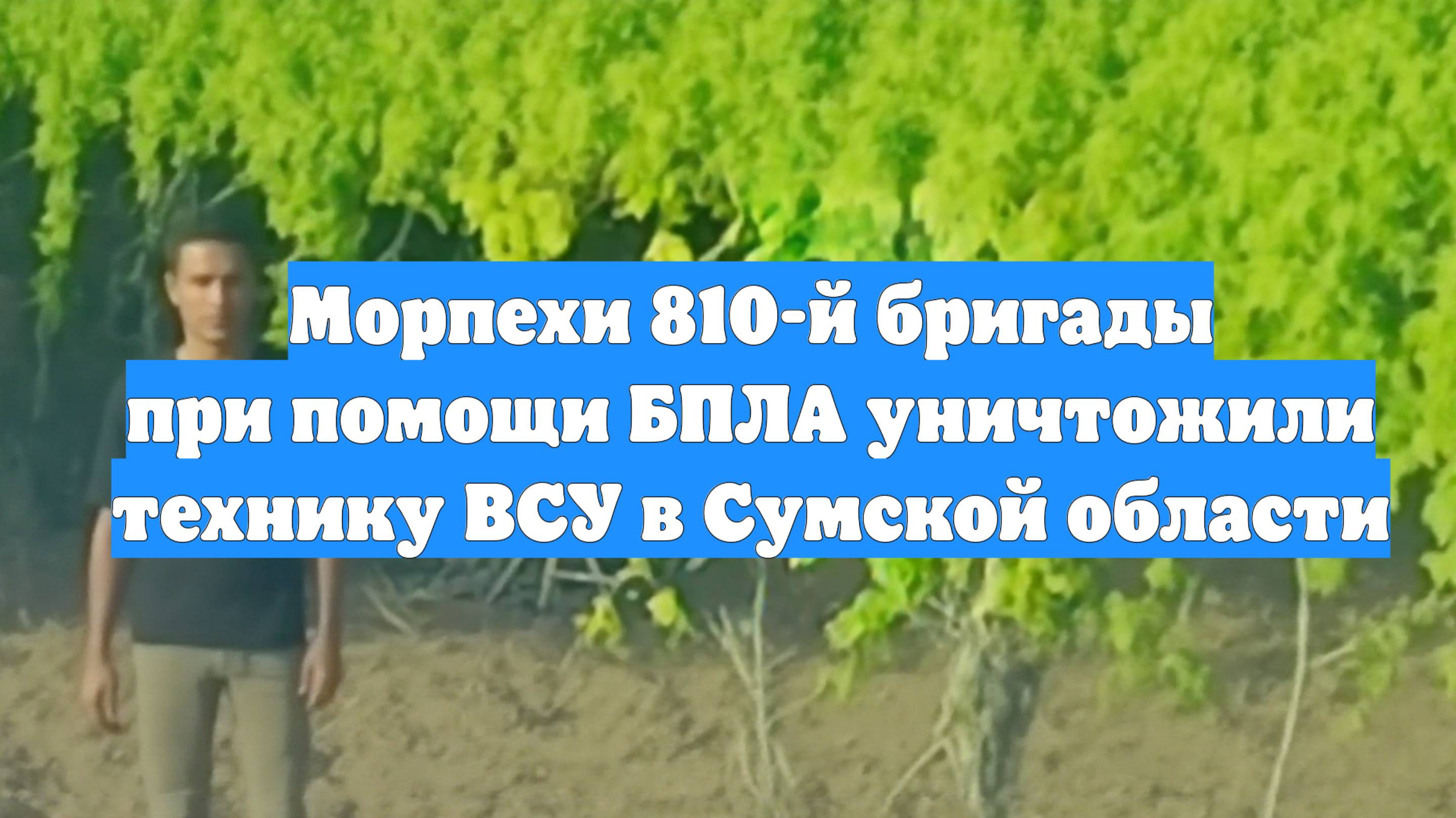Морпехи 810-й бригады при помощи БПЛА уничтожили технику ВСУ в Сумской области