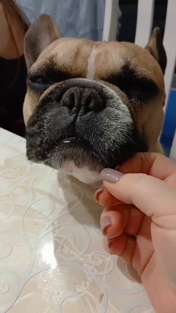 Дай ещё 😄