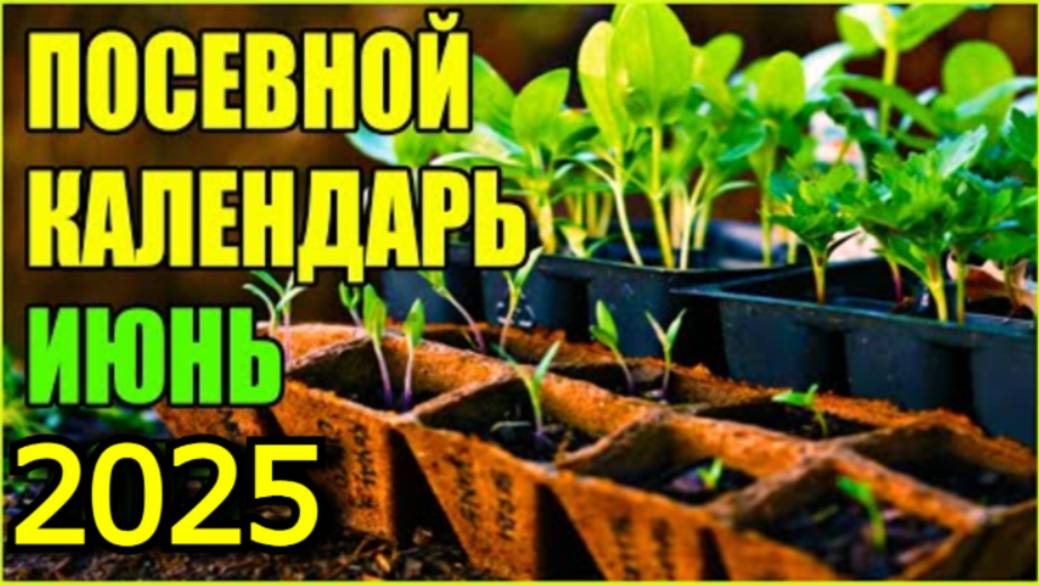 КОГДА СЕЯТЬ и САЖАТЬ ДЛЯ БОЛЬШОГО УРОЖАЯ! Лунный посевной календарь на ИЮНЬ 2025