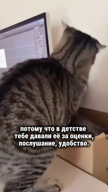 Не надо заслуживать любовь! #творец #раскрытиесердца #любовь #силасознания #отношения