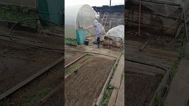 деревня