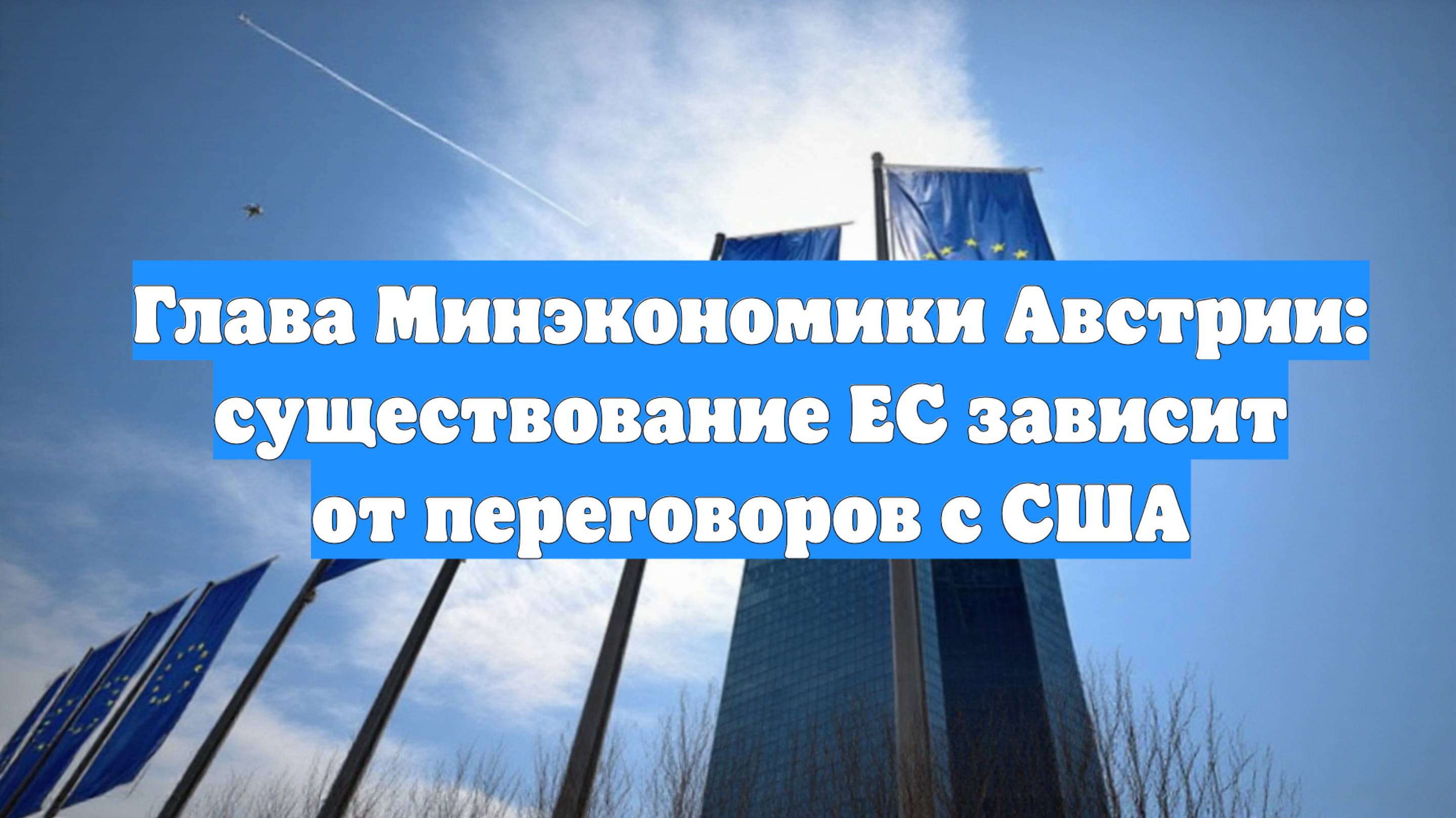 Глава Минэкономики Австрии: существование ЕС зависит от переговоров с США