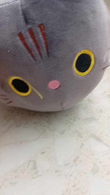 кот батон1