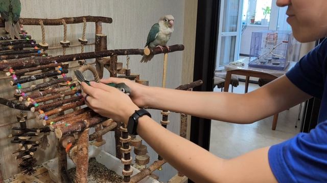 VID_20250509_142453