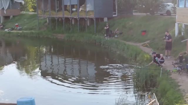 1000082119.mp4