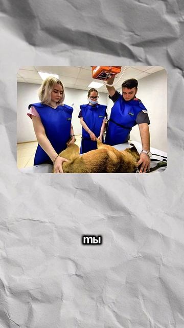 Погнали дальше