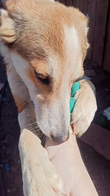 Джессика ❤