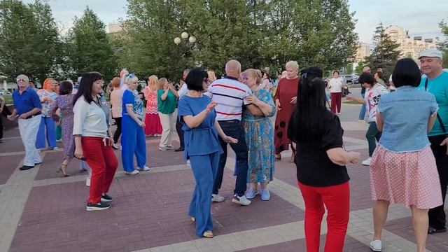 Золотится роза чайная... 24.05.25...