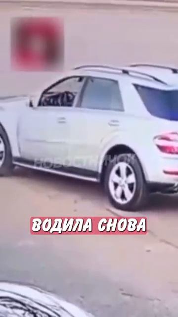 Новостничок (65)
