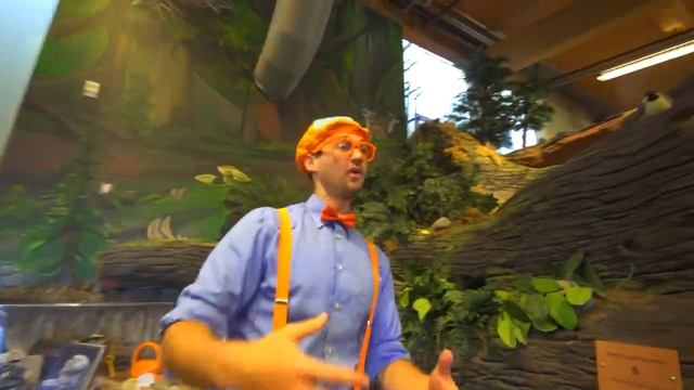 Блиппи (Blippi) - Блиппи изучает погоду - Холодно или Жарко   Обучающие видео для детей   Blippi Rus