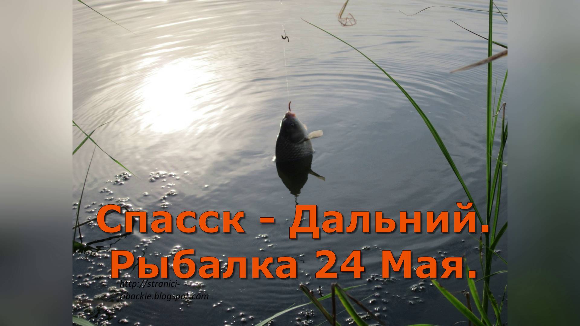 Рыбалка 24 мая