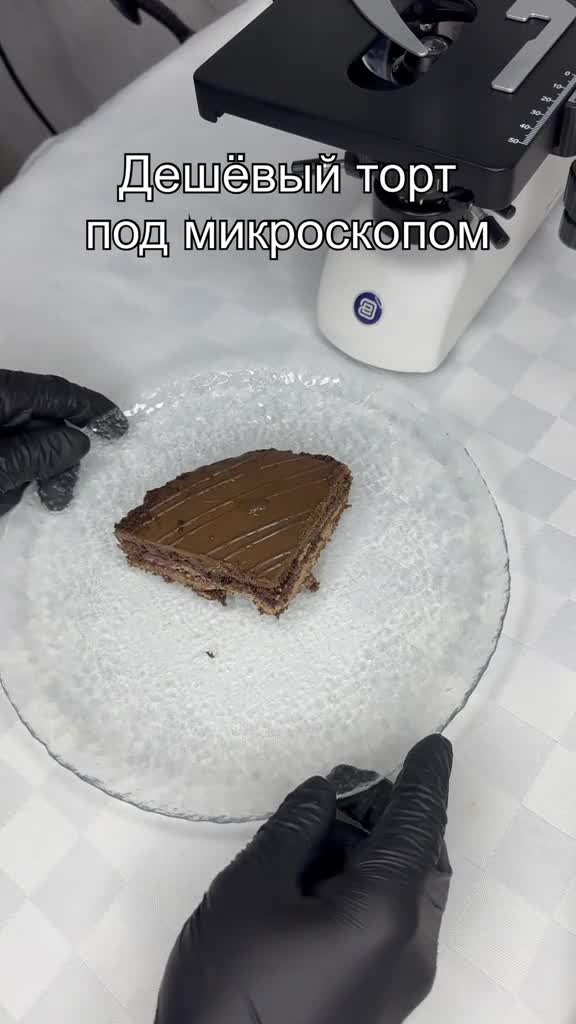 #микромир #наука #микроскоп #подмикроскопом #интересно