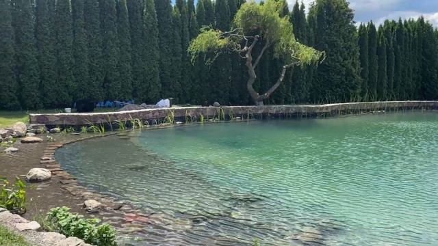 Озеро для плавания с супер-чистой водой. Из старого во?