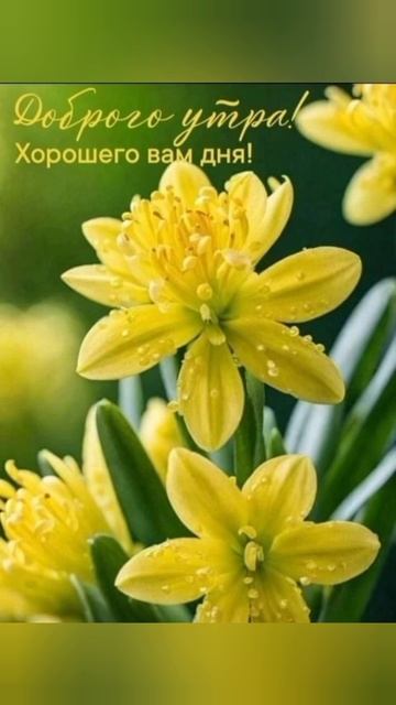 Утро Доброе Желаю!