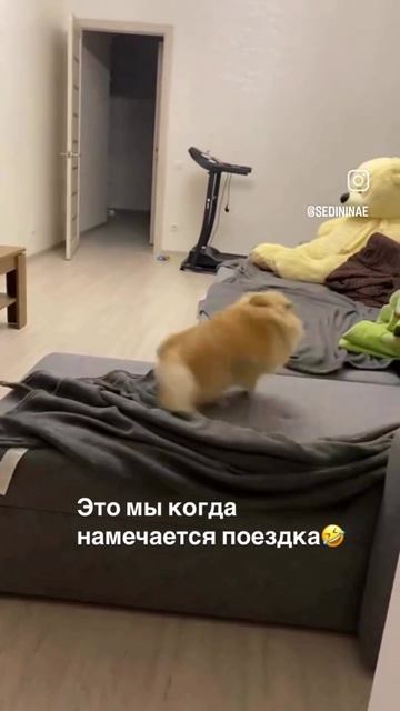 1000036439.mp4