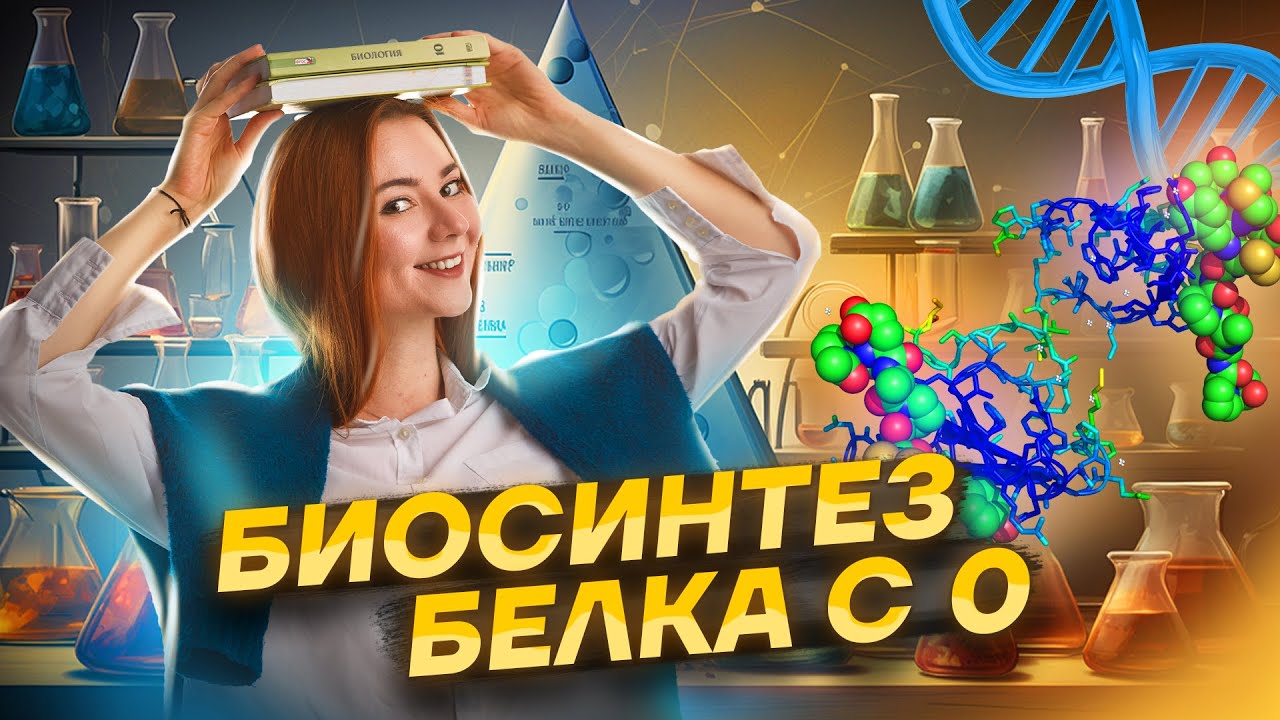 Биосинтез белка с 0 для задания 27 ЕГЭ Биология: вся теория + практика | Умскул