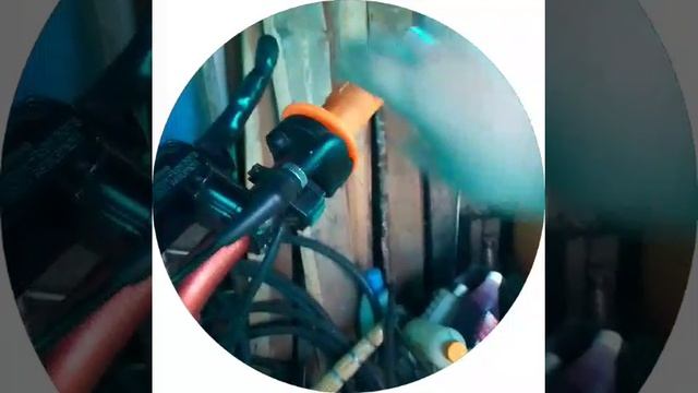 688085336_456239339.mp4