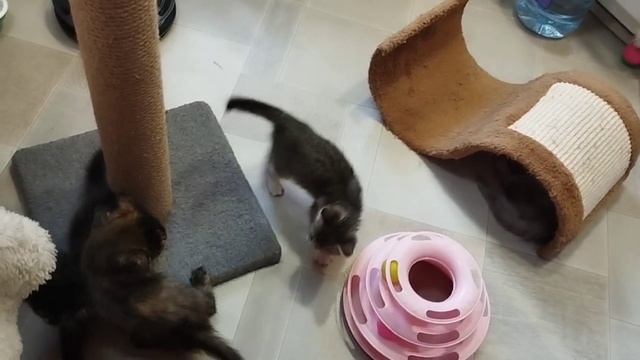 🥰Доброе утро от наших малышей.