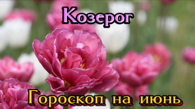 Козерог! Гороскоп на июнь 2025 года!
