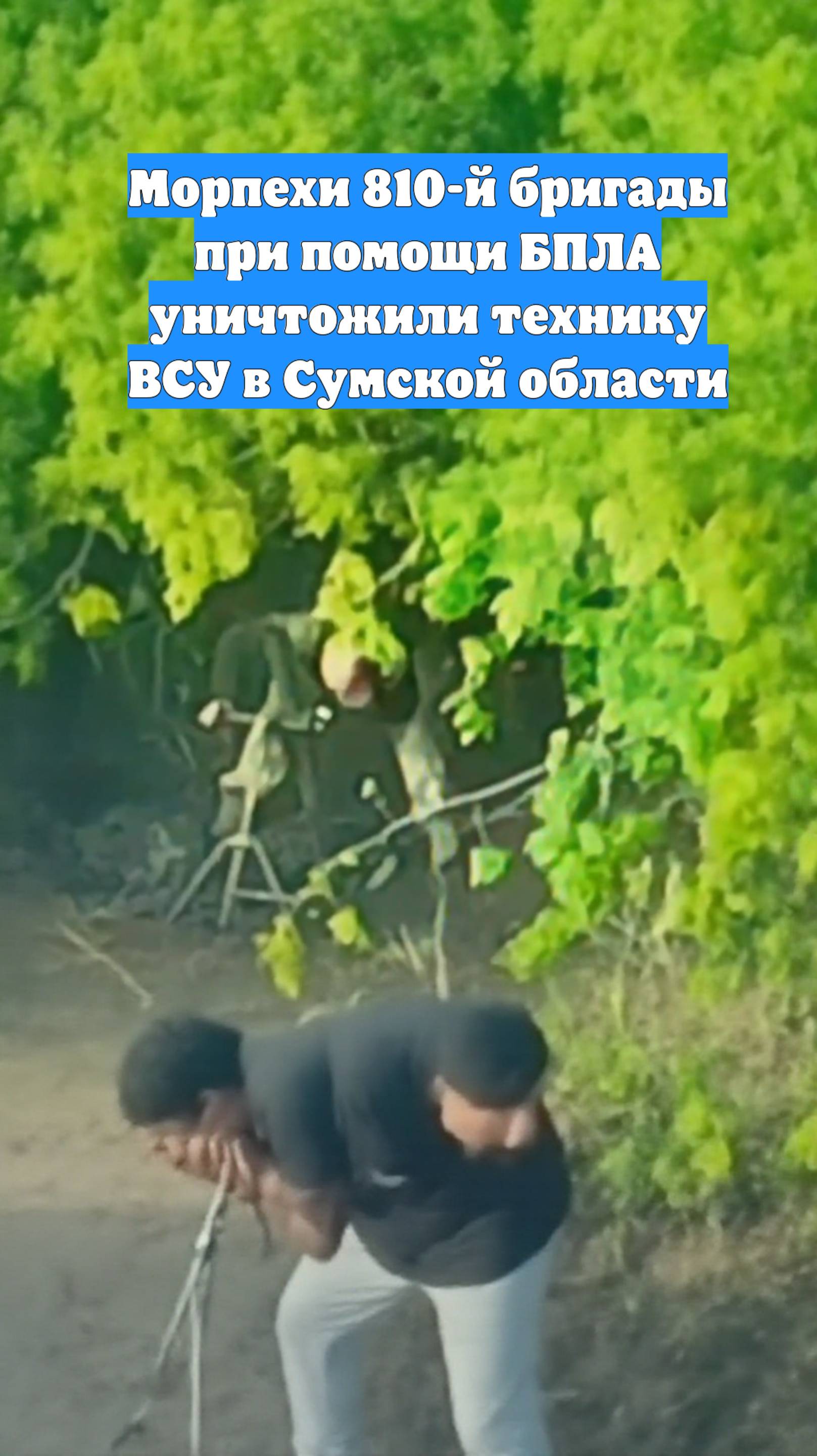 Морпехи 810-й бригады при помощи БПЛА уничтожили технику ВСУ в Сумской области