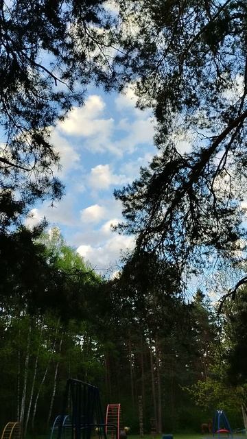 PXL_20240502_055344281