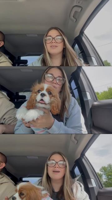 1011308119.mp4