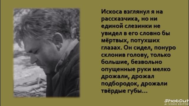 Юбилей М. Шолохова