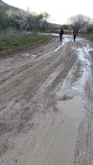 фото и видео природы единственное что радует в походе #весна #hike