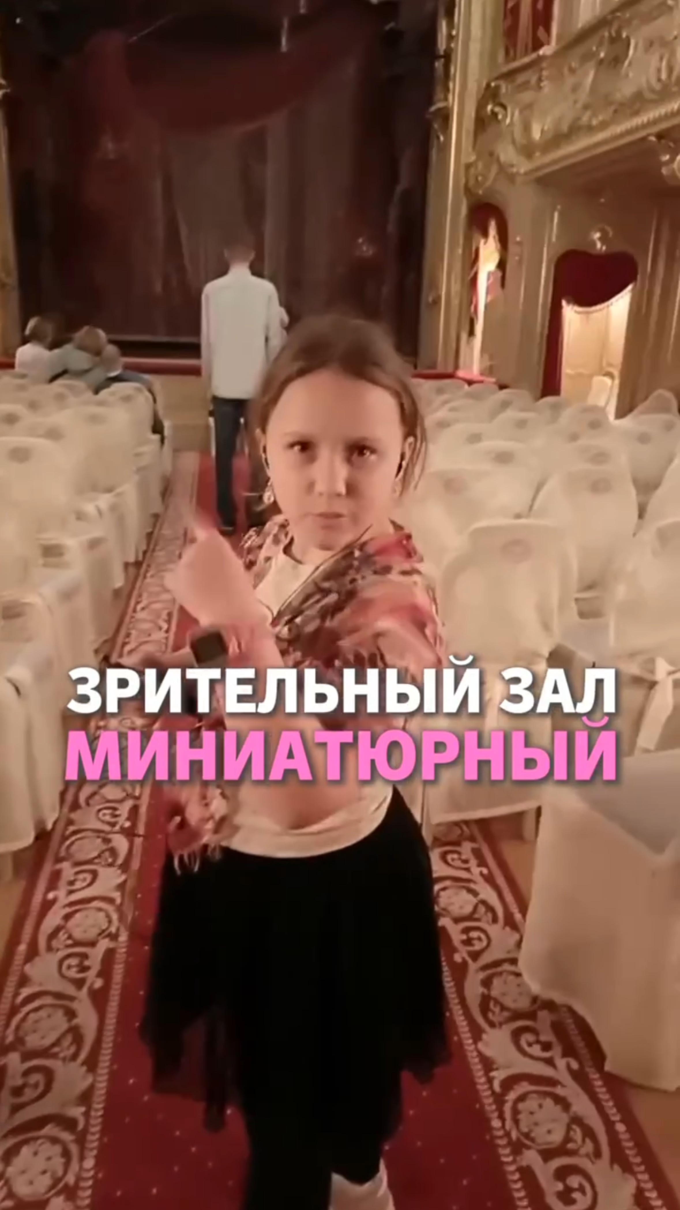 Миниатюрный зрительный зал