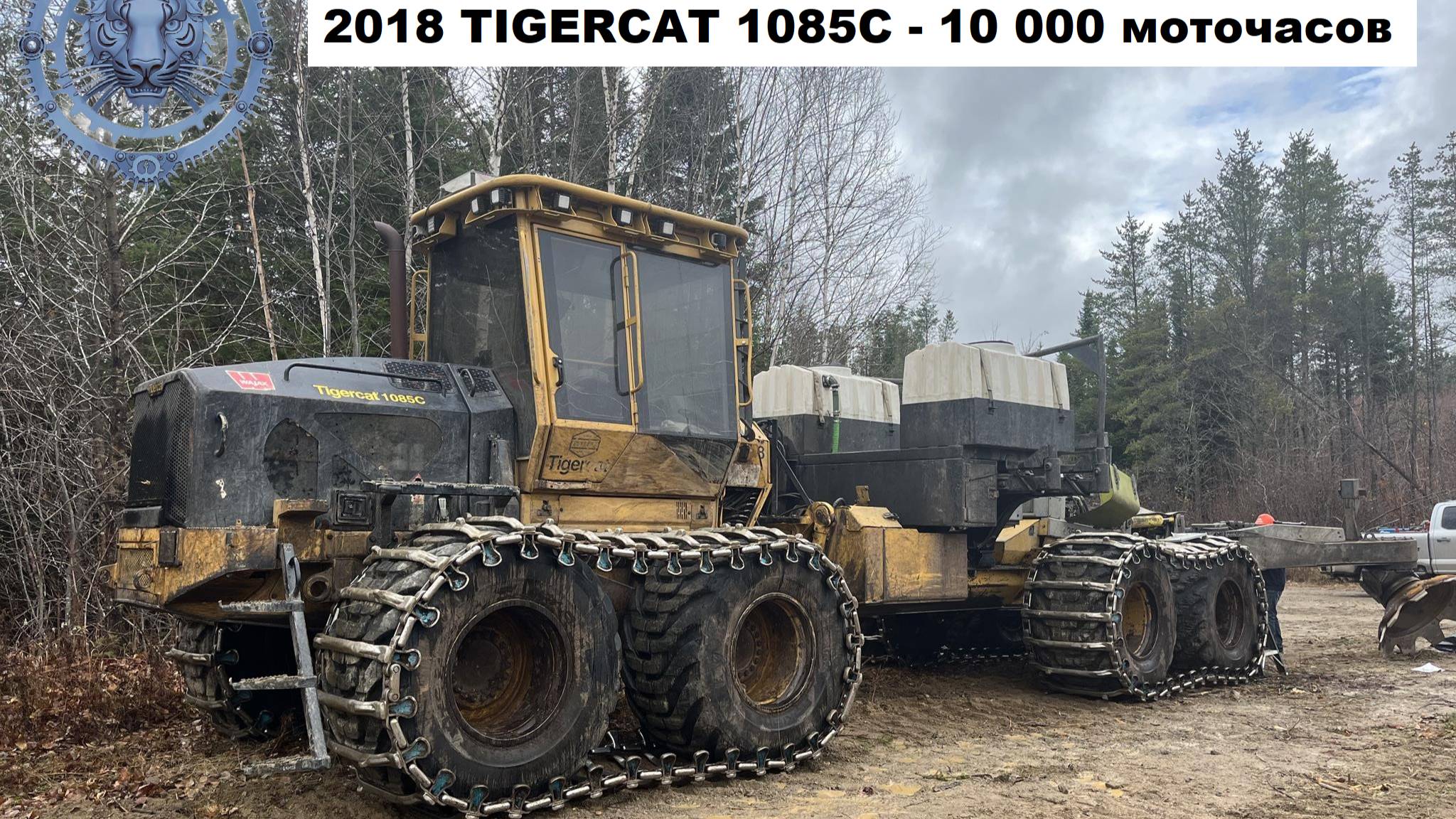 ФОРВАРДЕР TIGERCAT Лесозаготовительная техника - ПОД ЗАКАЗ И В НАЛИЧИИ