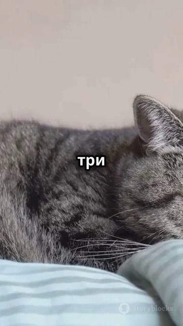 5 необычных фактов о снах, которые вы точно не знали!