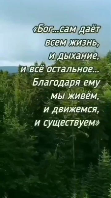 VID_20250525_235443_456.mp4