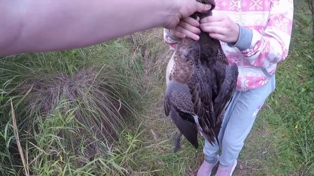 Охота на утку  Выезд всей семьей Первая видеосъемка юн
