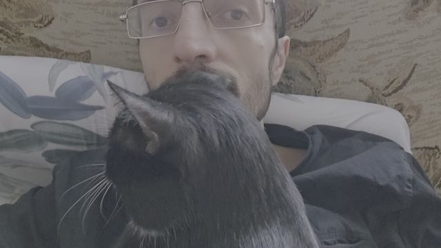 Обнимашки с котом Феликсом