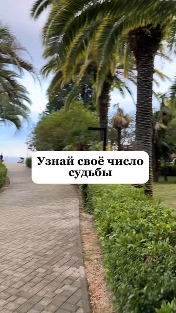 Узнай свое число судьбы!