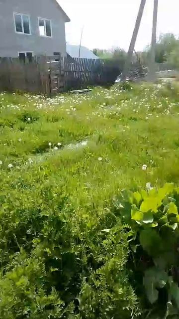 1000058803.mp4