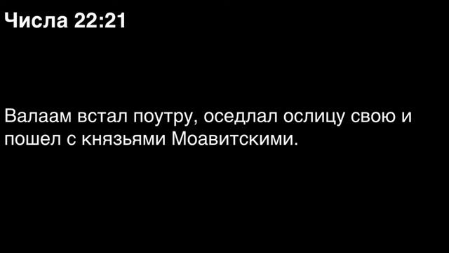 Числа, глава 22