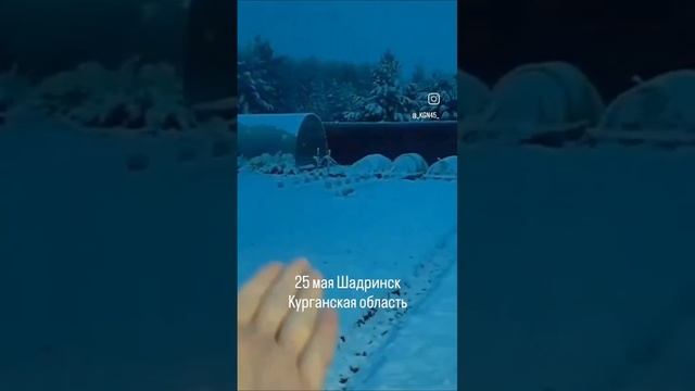 Шадринск 25.05.25.