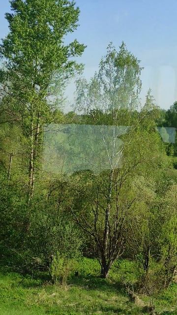 окрестности Истры из электрички