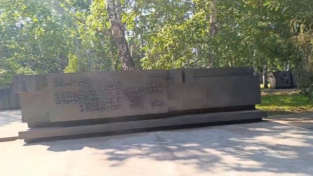 Новосибирск, июнь 2024. Часть 2. Высотный муравейник. Нед?