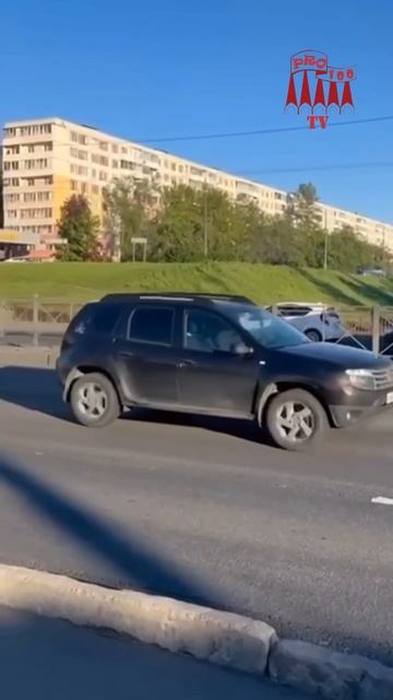 Тем временем лоси продолжают бегать по Питеру 😑)