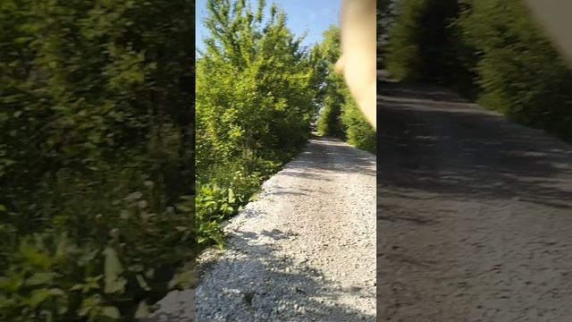 вояж(часть1)