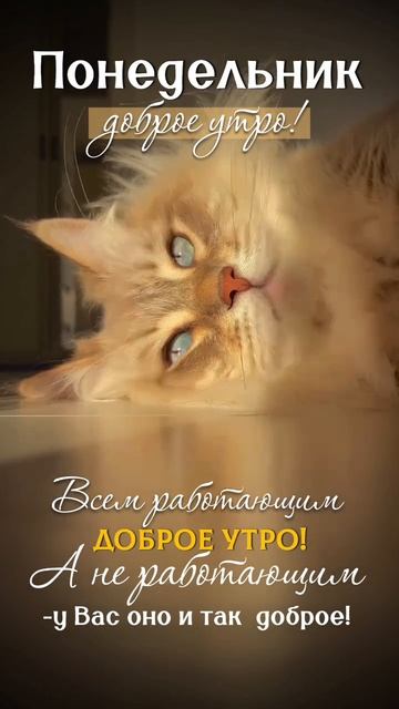Доброе утро понедельника