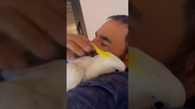 VID_20250526_220733_135.mp4