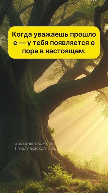 Руна Отал