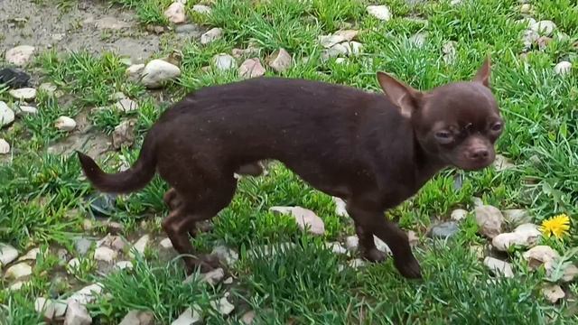 1000031503.mp4