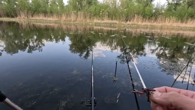 🐟ЗА ДВІ ГОДИНИ, ВІДРО 🎣  ЛИН 🐟 КАРАСЬ  Рибалка на поп
