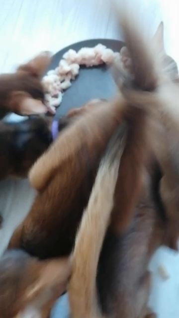 VID_20250523_223433_720.mp4